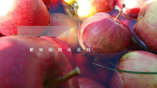 爬取视频违法吗 爬取视频违法吗