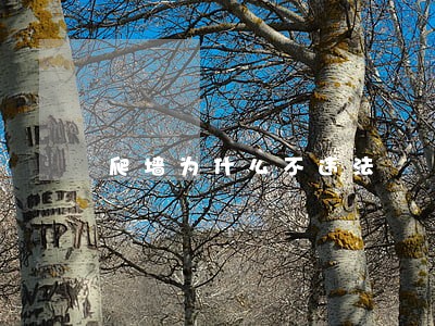 爬墙为什么不违法 爬墙为什么不违法