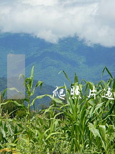 爬照片违法吗 爬照片违法吗
