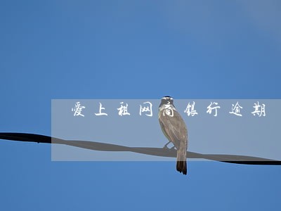 爱上租网商银行逾期 爱上租网商银行逾期