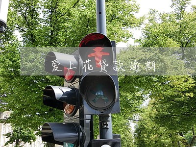 爱上花贷款逾期 爱上花贷款逾期