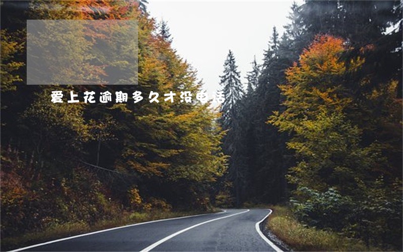 爱上花逾期多久才没电话 爱上花逾期多久才没电话