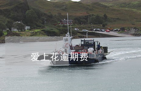 爱上花逾期费 爱上花逾期费