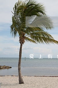 爱上街借款逾期要多少利息 爱上街借款逾期要多少利息