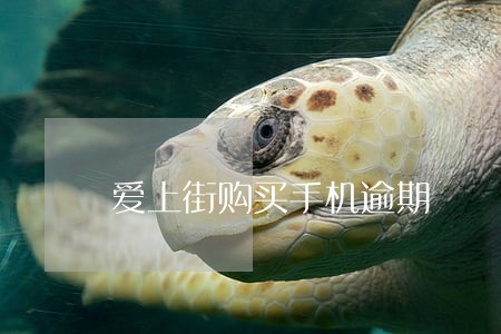 爱上街购买手机逾期