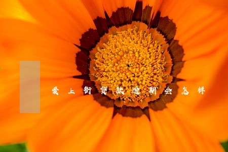 爱上街贷款逾期会怎样 爱上街贷款逾期会怎样