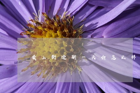爱上街逾期一天会怎么样 爱上街逾期一天会怎么样