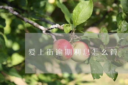 爱上街逾期利息怎么算 爱上街逾期利息怎么算