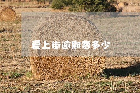 爱上街逾期费多少 爱上街逾期费多少