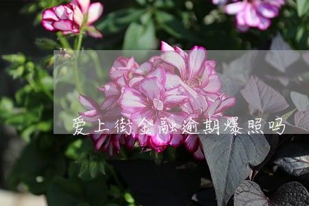 爱上街金融逾期爆照吗 爱上街金融逾期爆照吗