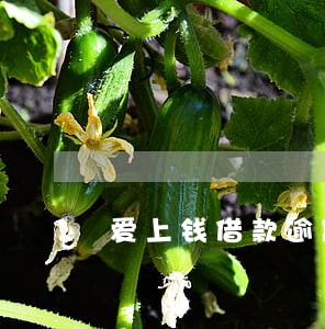 爱上钱借款逾期没人联系 爱上钱借款逾期没人联系