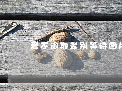 爱不逾期孝别等待图片 爱不逾期孝别等待图片