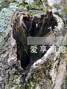 爱享租逾期失联后果 爱享租逾期失联后果