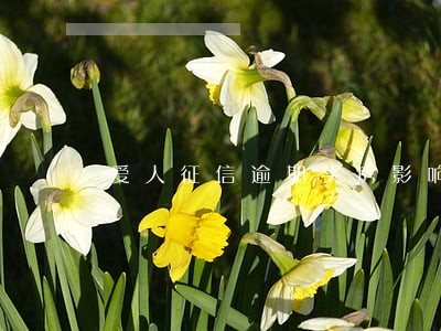 爱人征信逾期买房影响吗 爱人征信逾期买房影响吗