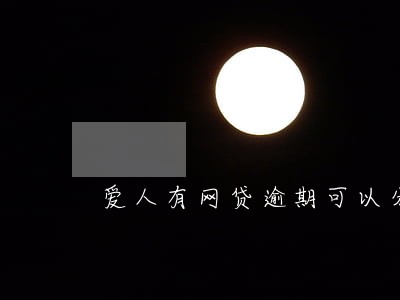 爱人有网贷逾期可以分期买车吗