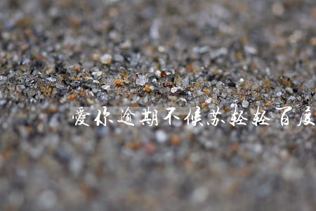 爱你逾期不候苏轻轻百度云 爱你逾期不候苏轻轻百度云