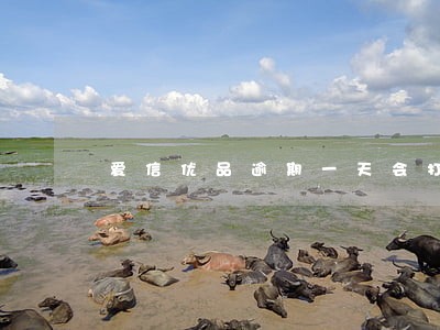 爱信优品逾期一天会打电话吗 爱信优品逾期一天会打电话吗