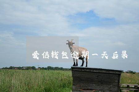 爱信钱包逾期一天后果 爱信钱包逾期一天后果