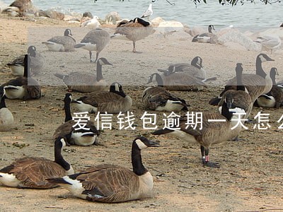 爱信钱包逾期一天怎么处理 爱信钱包逾期一天怎么处理