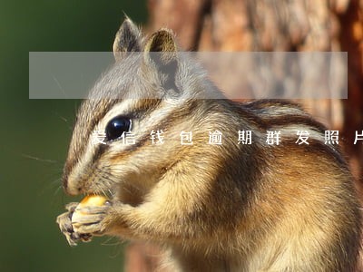 爱信钱包逾期群发照片 爱信钱包逾期群发照片