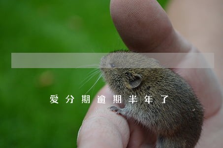爱分期逾期半年了 爱分期逾期半年了