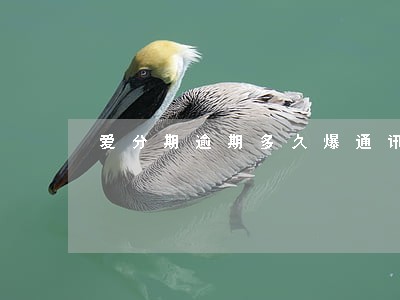 爱分期逾期多久爆通讯录