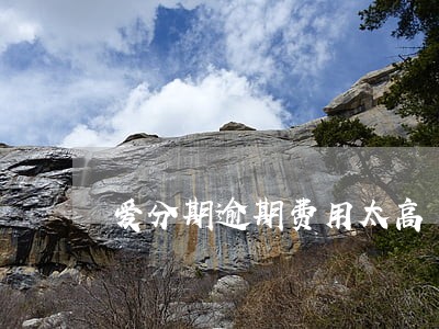 爱分期逾期费用太高 爱分期逾期费用太高