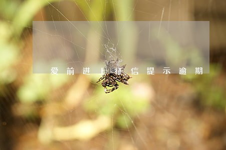 爱前进上征信提示逾期 爱前进上征信提示逾期