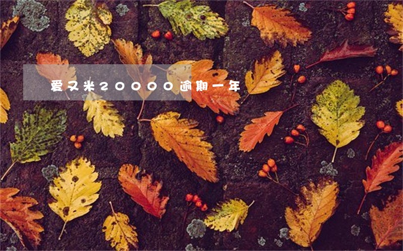 爱又米20000逾期一年 爱又米20000逾期一年