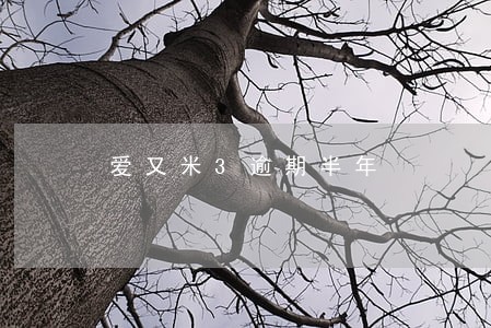爱又米3逾期半年 爱又米3逾期半年
