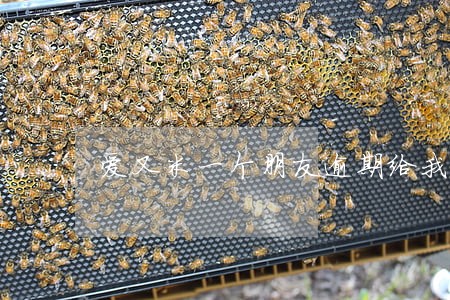 爱又米一个朋友逾期给我发通知 爱又米一个朋友逾期给我发通知