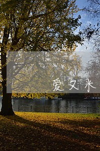 爱又米借款逾期费用 爱又米借款逾期费用