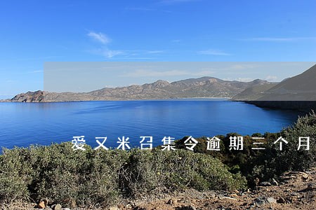 爱又米召集令逾期三个月 爱又米召集令逾期三个月