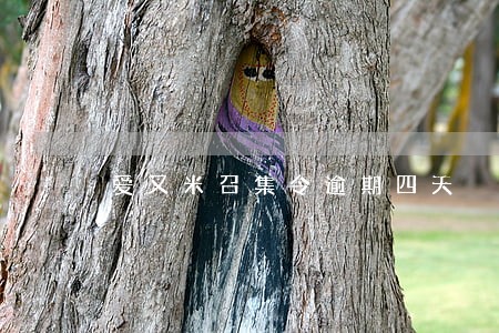 爱又米召集令逾期四天 爱又米召集令逾期四天