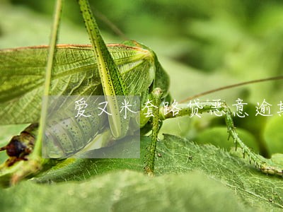 爱又米套路贷恶意逾期 爱又米套路贷恶意逾期