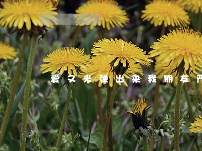 爱又米弹出来我朋友严重逾期 爱又米弹出来我朋友严重逾期