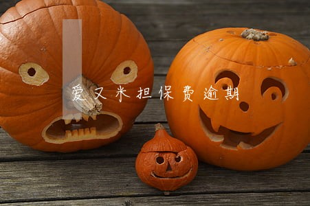 爱又米担保费逾期 爱又米担保费逾期
