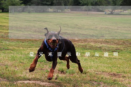 爱又米提示框朋友逾期 爱又米提示框朋友逾期