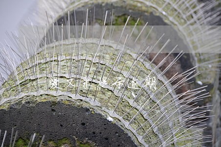 爱又米提示逾期 爱又米提示逾期