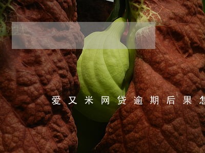 爱又米网贷逾期后果怎样 爱又米网贷逾期后果怎样
