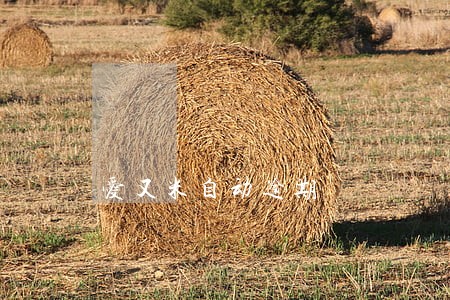 爱又米自动逾期 爱又米自动逾期
