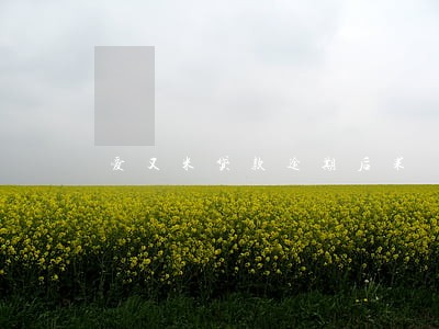 爱又米贷款逾期后果 爱又米贷款逾期后果