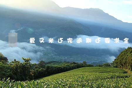 爱又米还完逾期还要求全款 爱又米还完逾期还要求全款