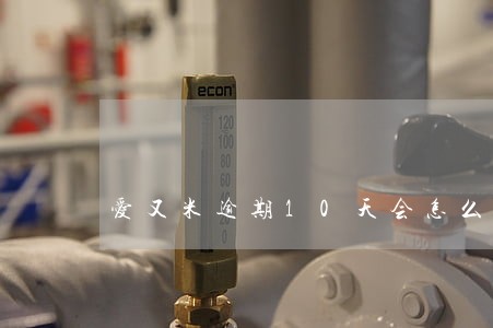 爱又米逾期10天会怎么样