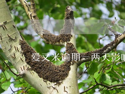 爱又米逾期一两天影响征信吗 爱又米逾期一两天影响征信吗