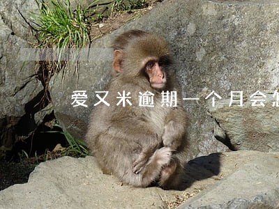 爱又米逾期一个月会怎么办 爱又米逾期一个月会怎么办