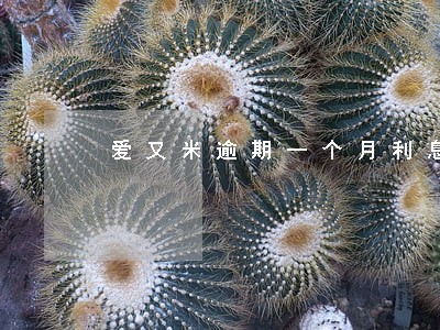 爱又米逾期一个月利息 爱又米逾期一个月利息