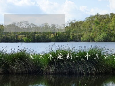 爱又米逾期一个月多少钱 爱又米逾期一个月多少钱