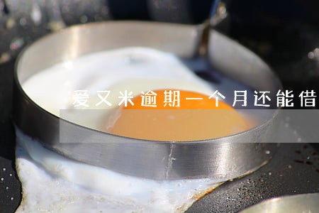 爱又米逾期一个月还能借么 爱又米逾期一个月还能借么