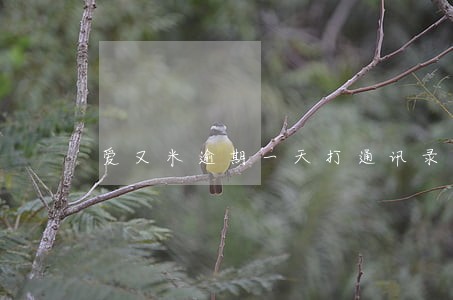 爱又米逾期一天打通讯录 爱又米逾期一天打通讯录